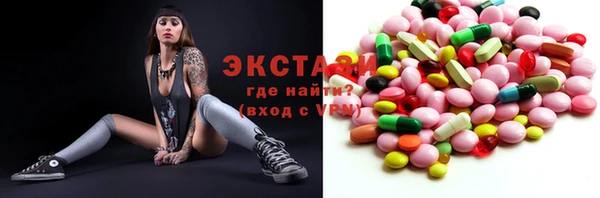 ECSTASY Богородицк