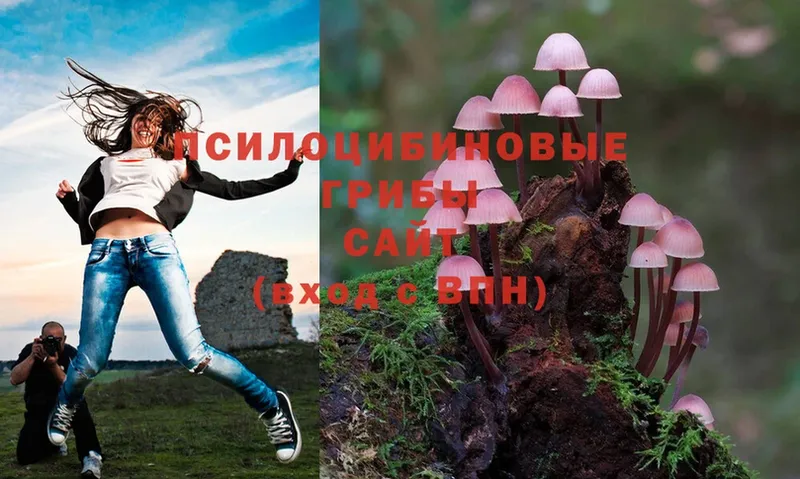 Галлюциногенные грибы MAGIC MUSHROOMS  Ковров 